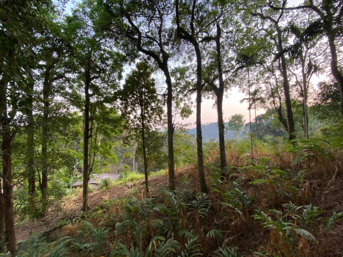 Nature Cool Villas Kallar Vattiyar Exterior photo
